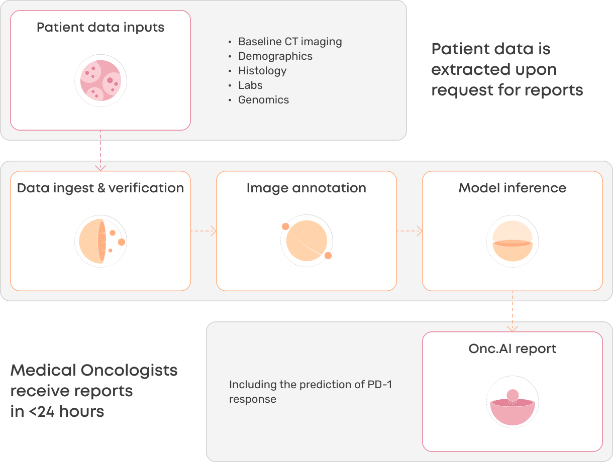How Onc.AI serves predictions via its applications.