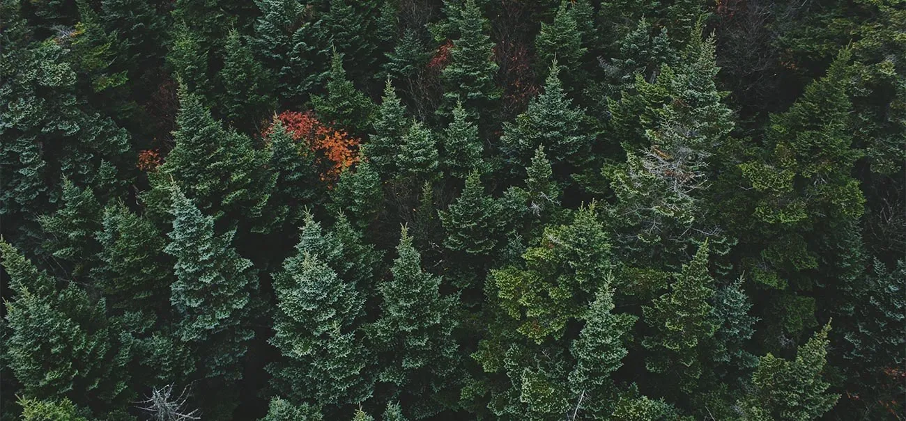Smart-forestry solutions for optimizing the resource efficiency in wood-based supply chains.