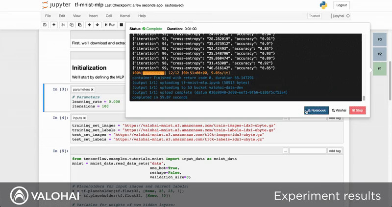 Valohai's Jupyter Notebook Extension