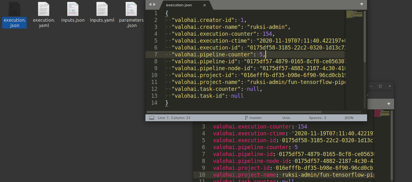Configuration information files in execution runtime